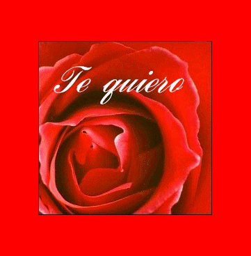 amour texte gif