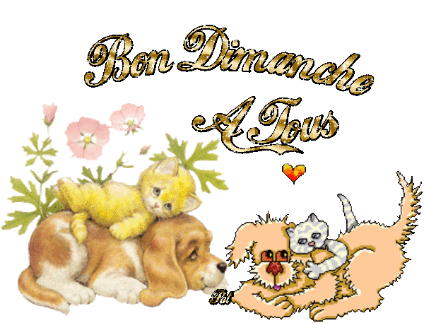 John B - Bonjour Mes Amis / Acid Clamp John B - Bonjour Mes Amis / Acid Clamp